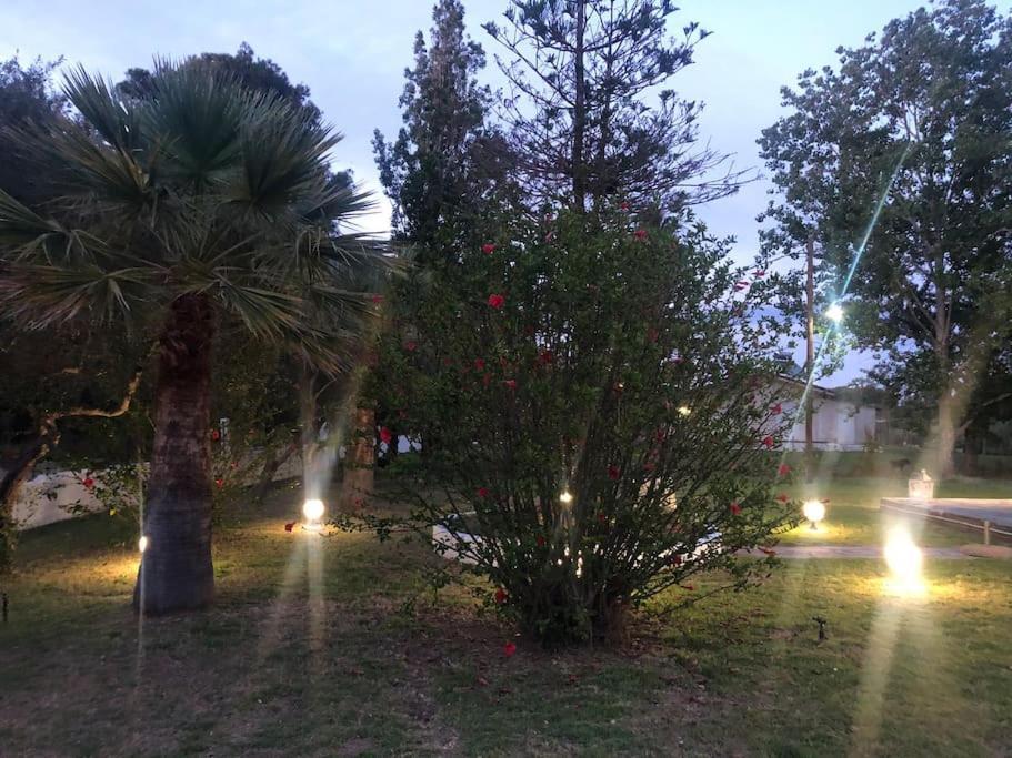 Villa Anastasia! In Strofylia Pine Forest!!! Manolas Exterior photo