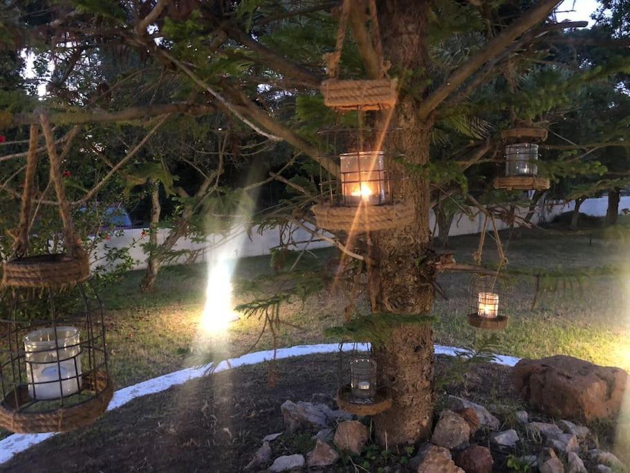 Villa Anastasia! In Strofylia Pine Forest!!! Manolas Exterior photo