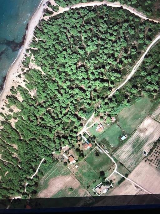 Villa Anastasia! In Strofylia Pine Forest!!! Manolas Exterior photo