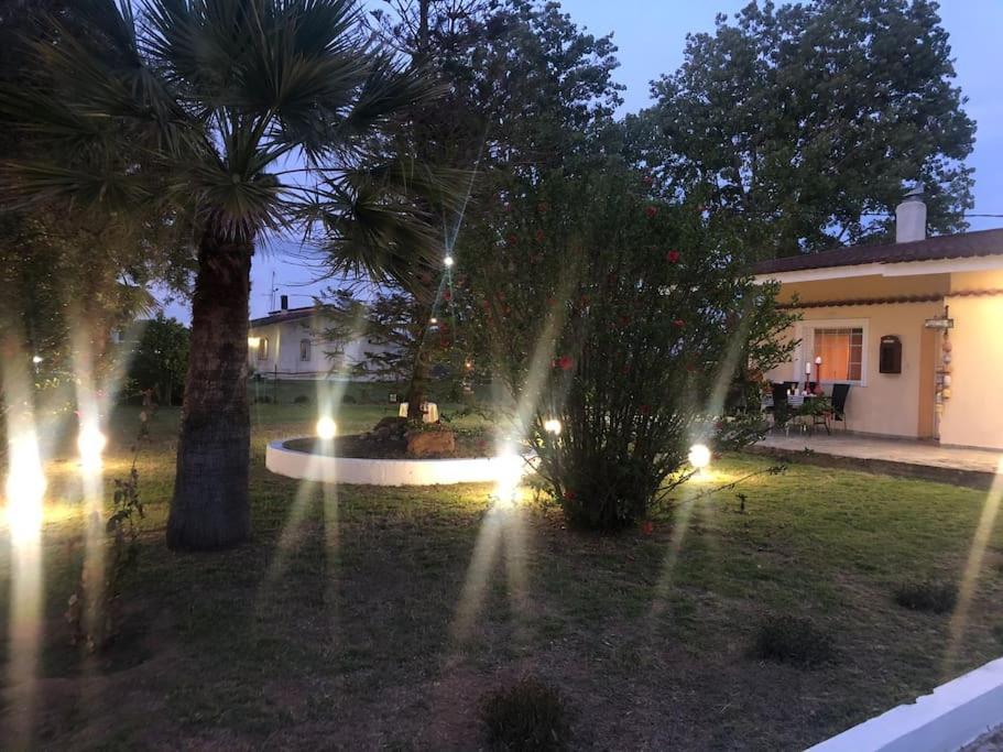 Villa Anastasia! In Strofylia Pine Forest!!! Manolas Exterior photo