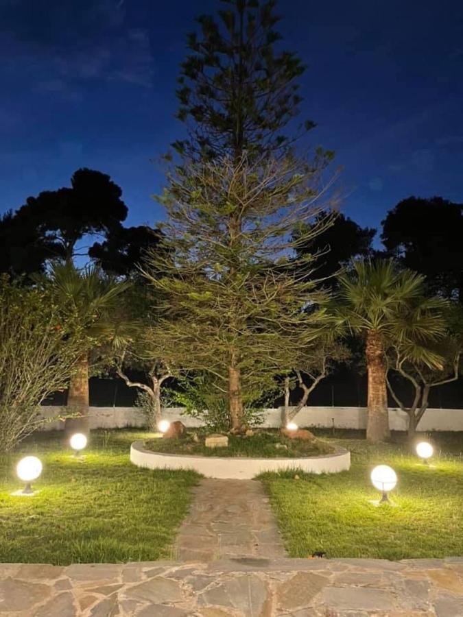 Villa Anastasia! In Strofylia Pine Forest!!! Manolas Exterior photo